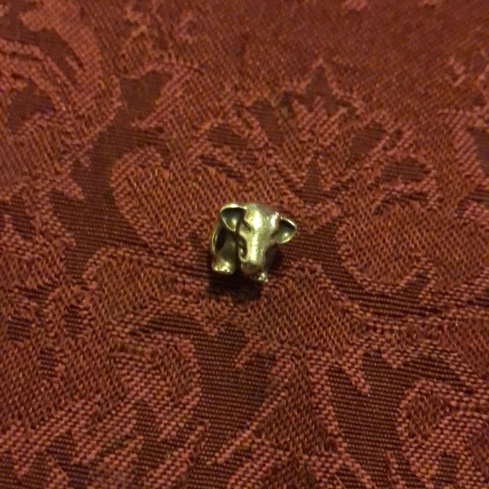 Lucky Elephant